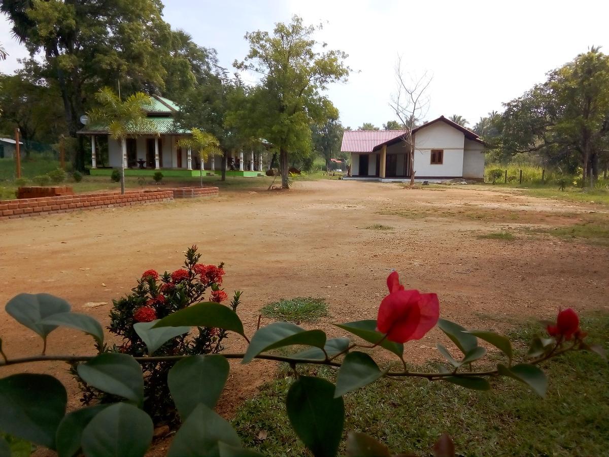 Aliya Pink France Guesthouse Habarana Exterior photo